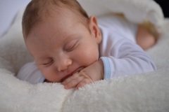 Familie_32